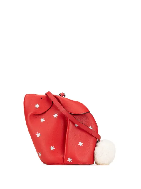 Loewe Pre-Owned 2018 Mini Calfskin Bunny Star crossbody bag