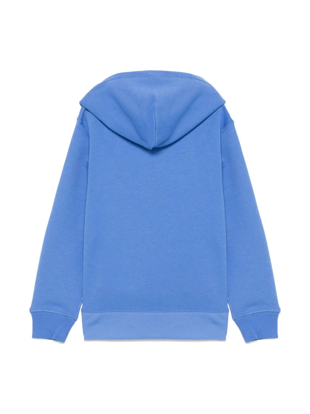 POLO RALPH LAUREN KIDS Polo Bear hoodie met patroon Blauw