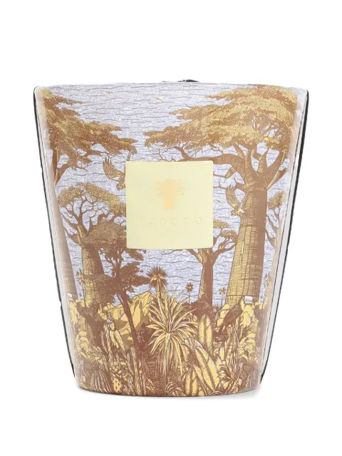 Baobab Collection Candela profumata Sacred Tree