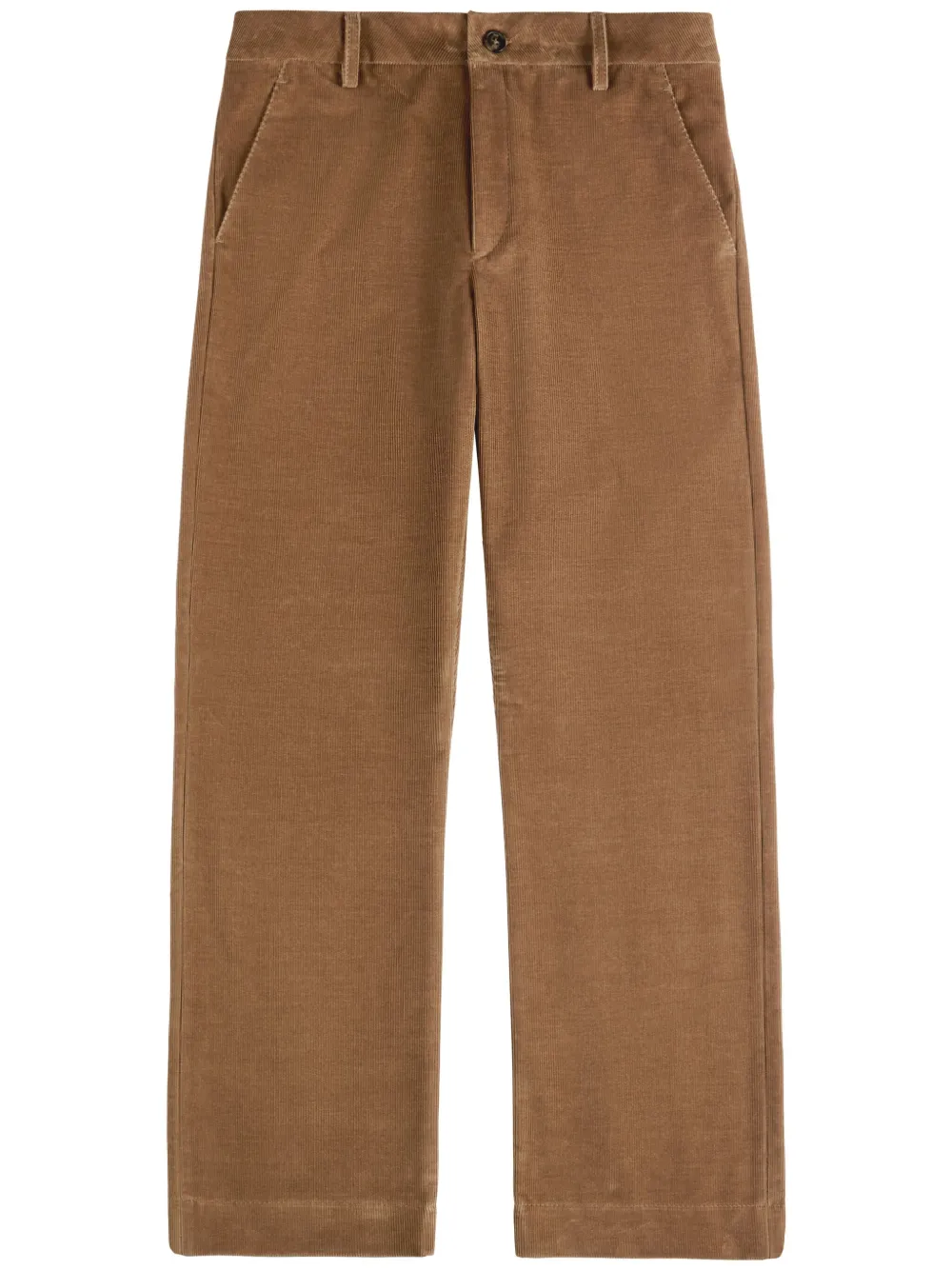Fay Ribfluwelen broek Bruin