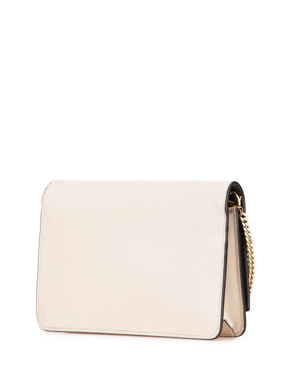Fendi Pre-Owned 2010-2024 Vitello Liberty Studded Leather Tube Wallet on Chain crossbody bag - Bruin