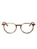 Barton Perreira Norton glasses - Brown