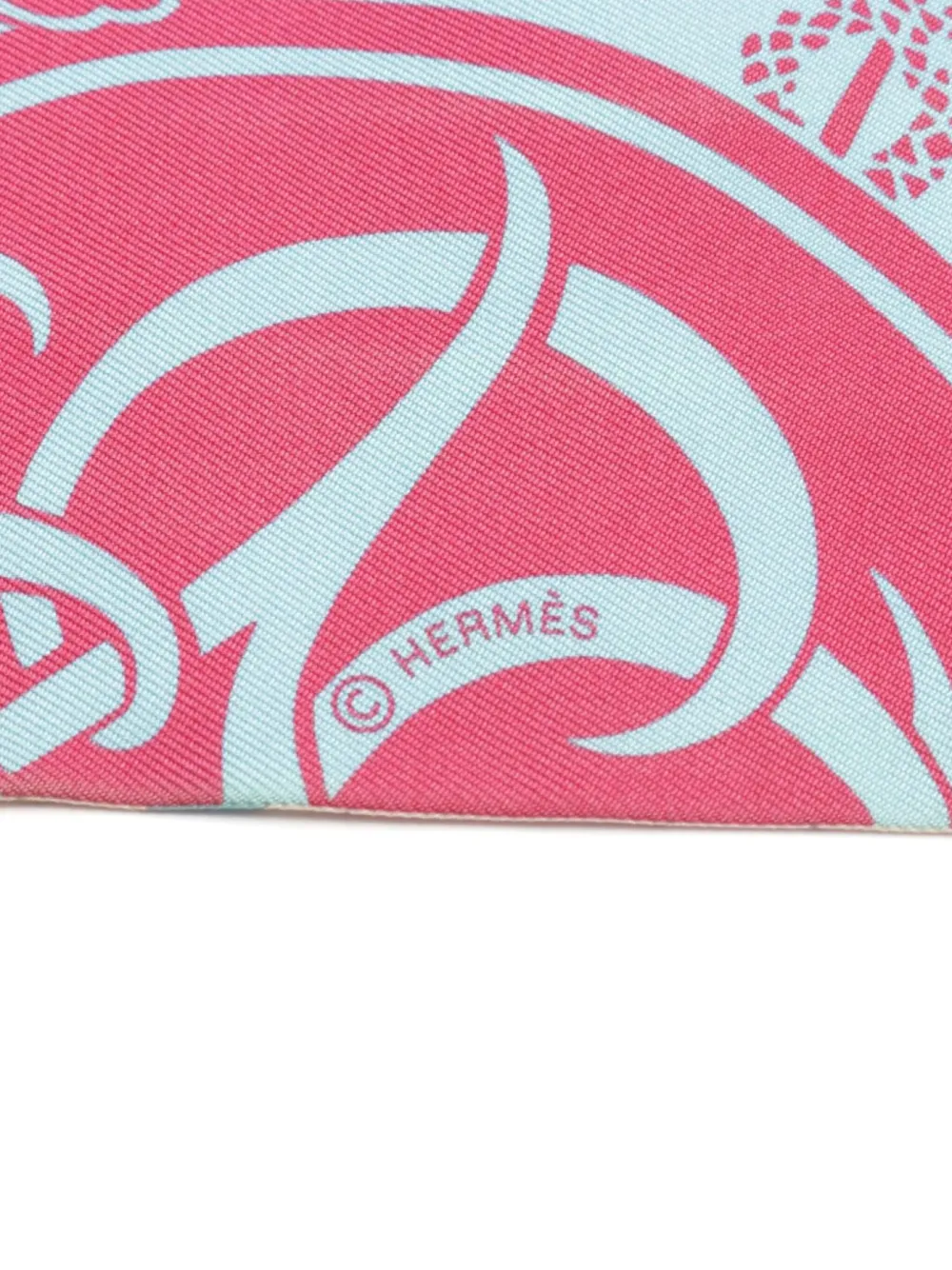 Hermès Pre-Owned 2000s Maxi Twilly Ex-Libris En Cravates scarf - Blauw