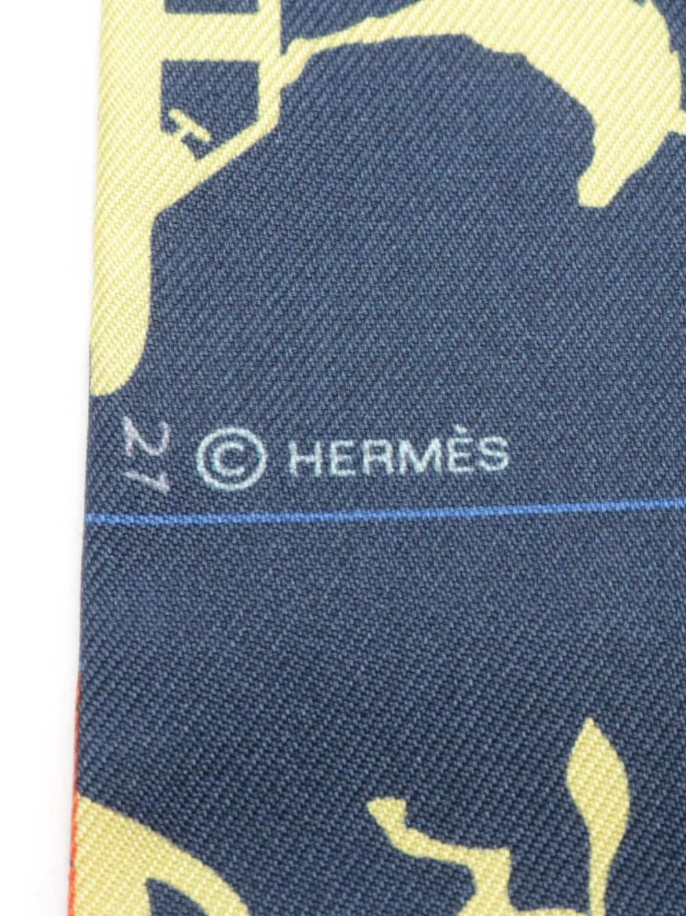 Hermès Pre-Owned 2010s Parade scarf - Blauw