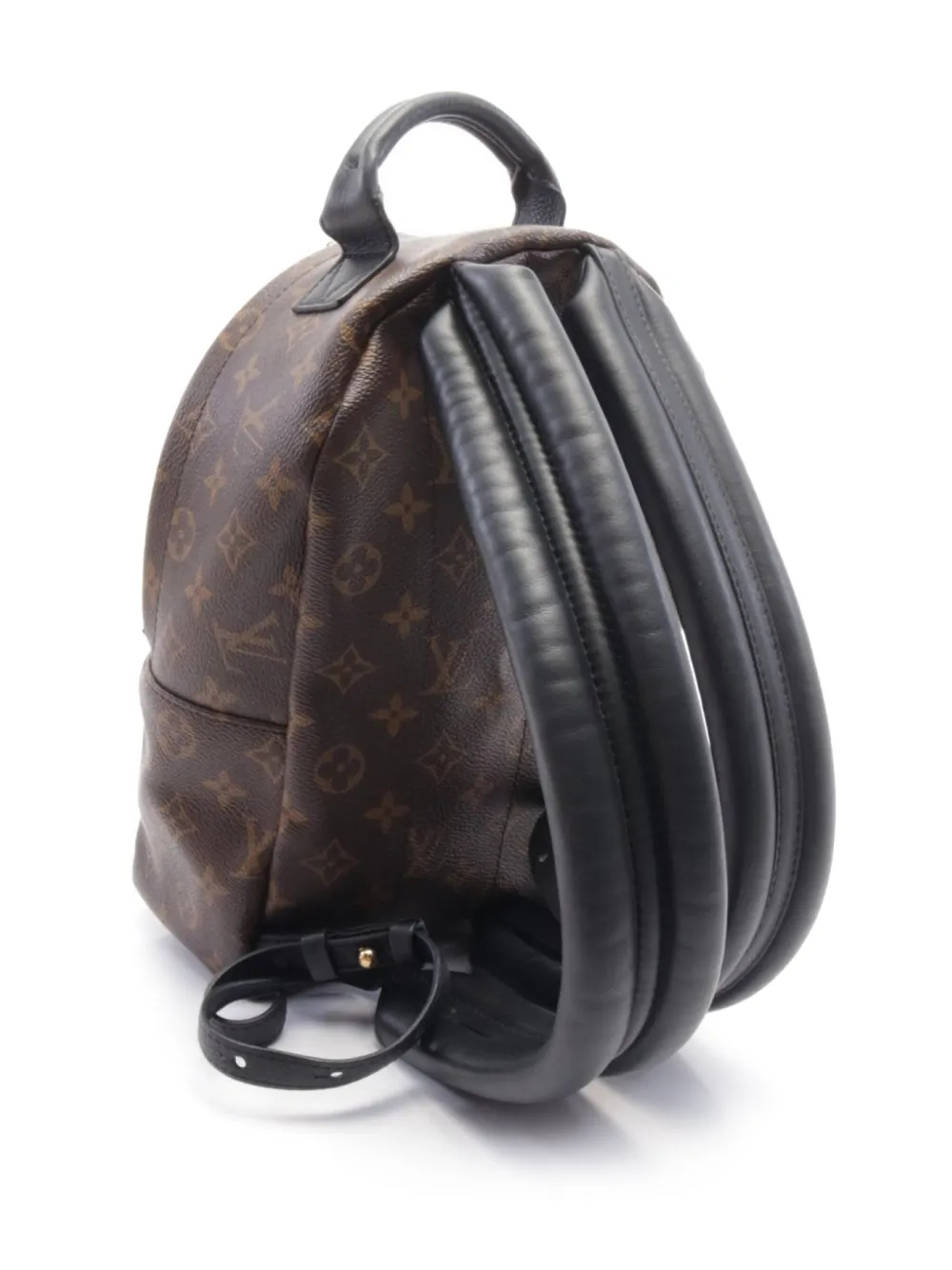 Louis Vuitton Pre-Owned 2019 Palm Springs PM backpack - Bruin