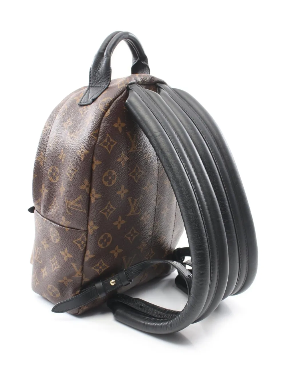 Louis Vuitton Pre-Owned 2018 Palm Springs PM rugzak - Bruin