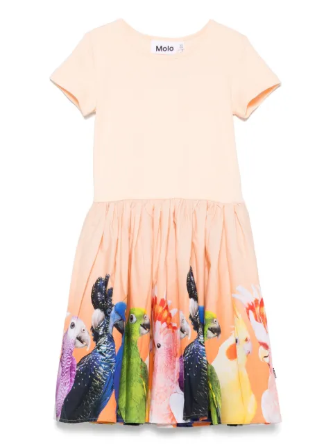 Molo vestido Cissa