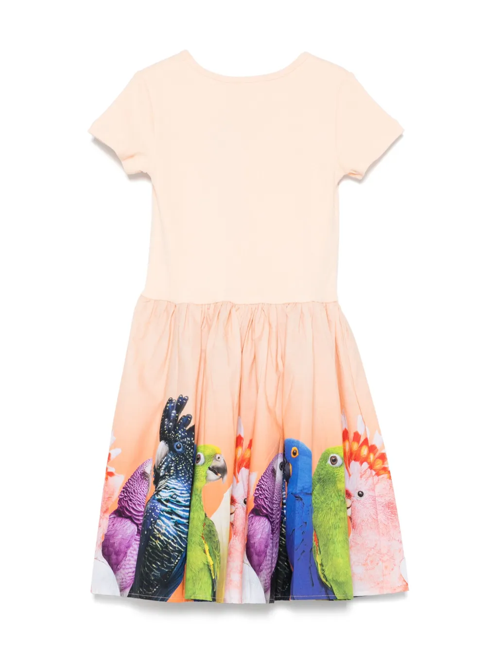 Molo robe Cissa | Robes décontractées | Image 2