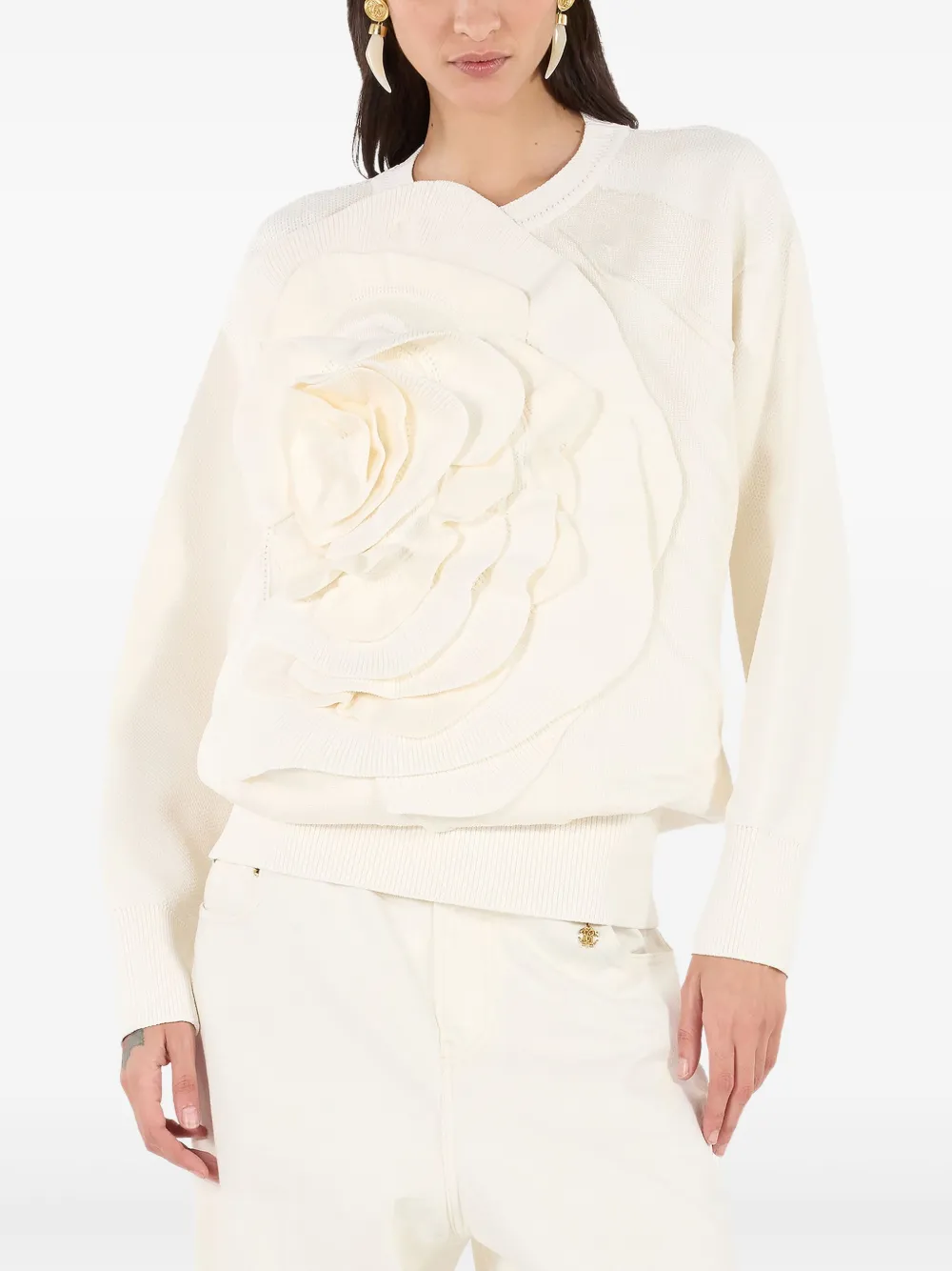 Roberto Cavalli 3d Floral-detail Sweater In Neutrals