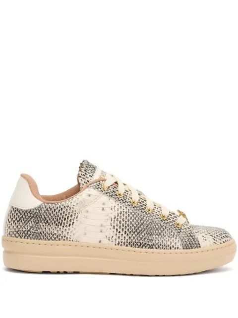 Roberto Cavalli tenis con agujetas