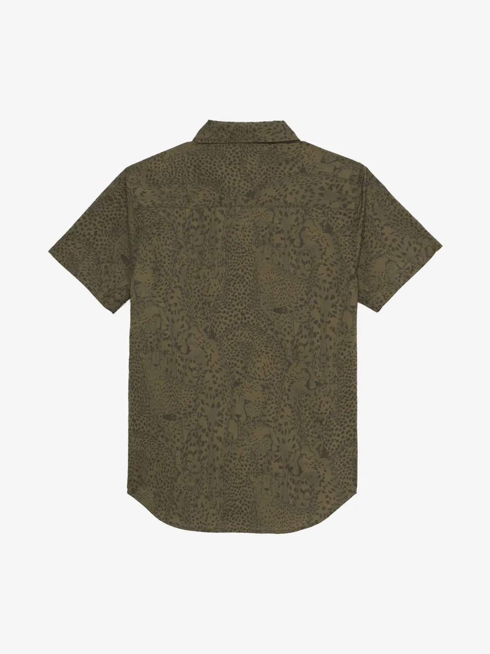 Roberto Cavalli Junior cotton shirt - Groen