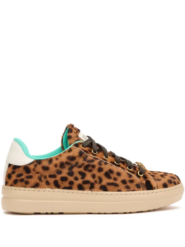 Roberto Cavalli leopard-print Sneakers Brown FARFETCH IN