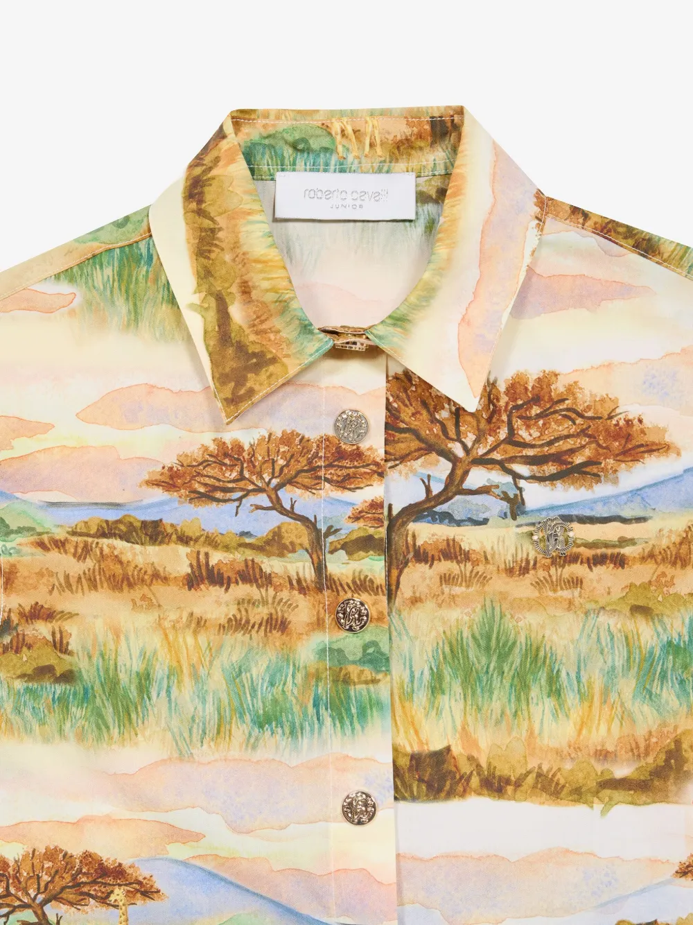 Roberto Cavalli Junior Graphic Print Shirt In Neutrals