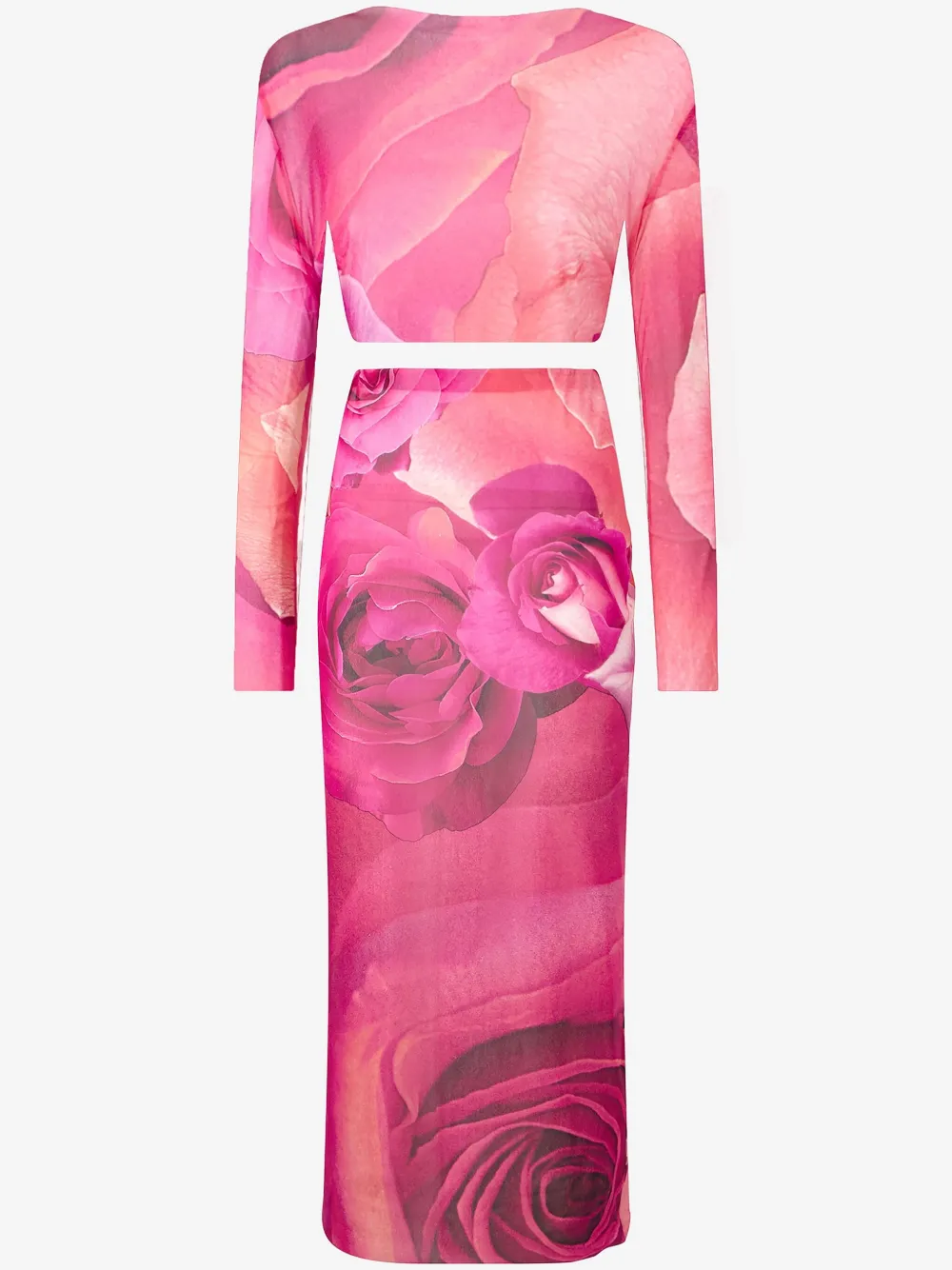 Roberto Cavalli Garden Rose Stretch Tulle Top & Skirt In Pink