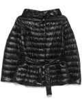 Herno ultralight padded jacket - Black
