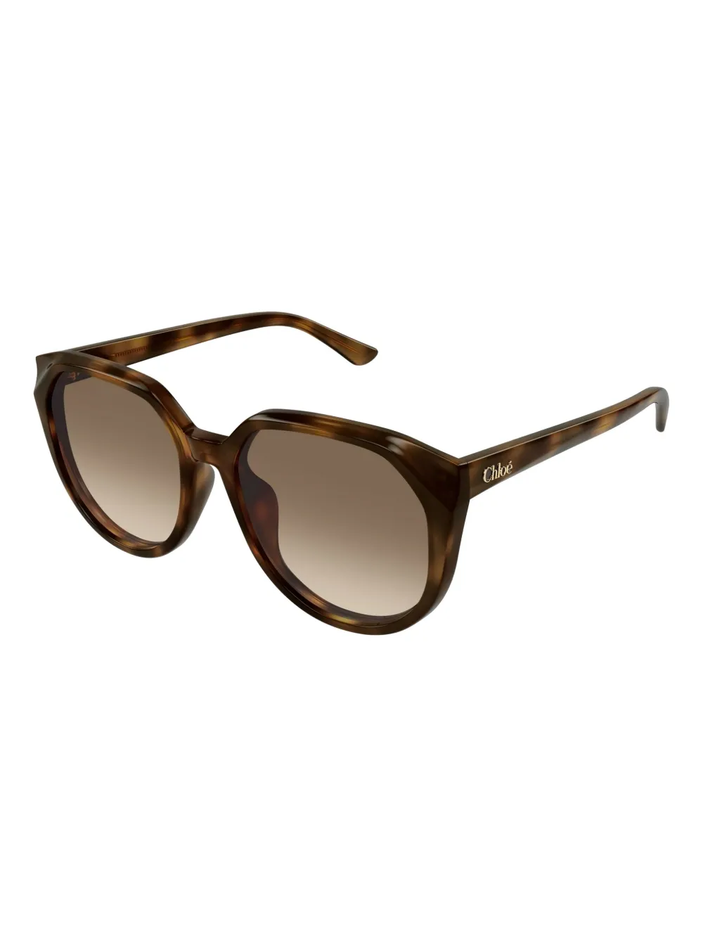 Chloé Eyewear CH0291SK Havana Bruin