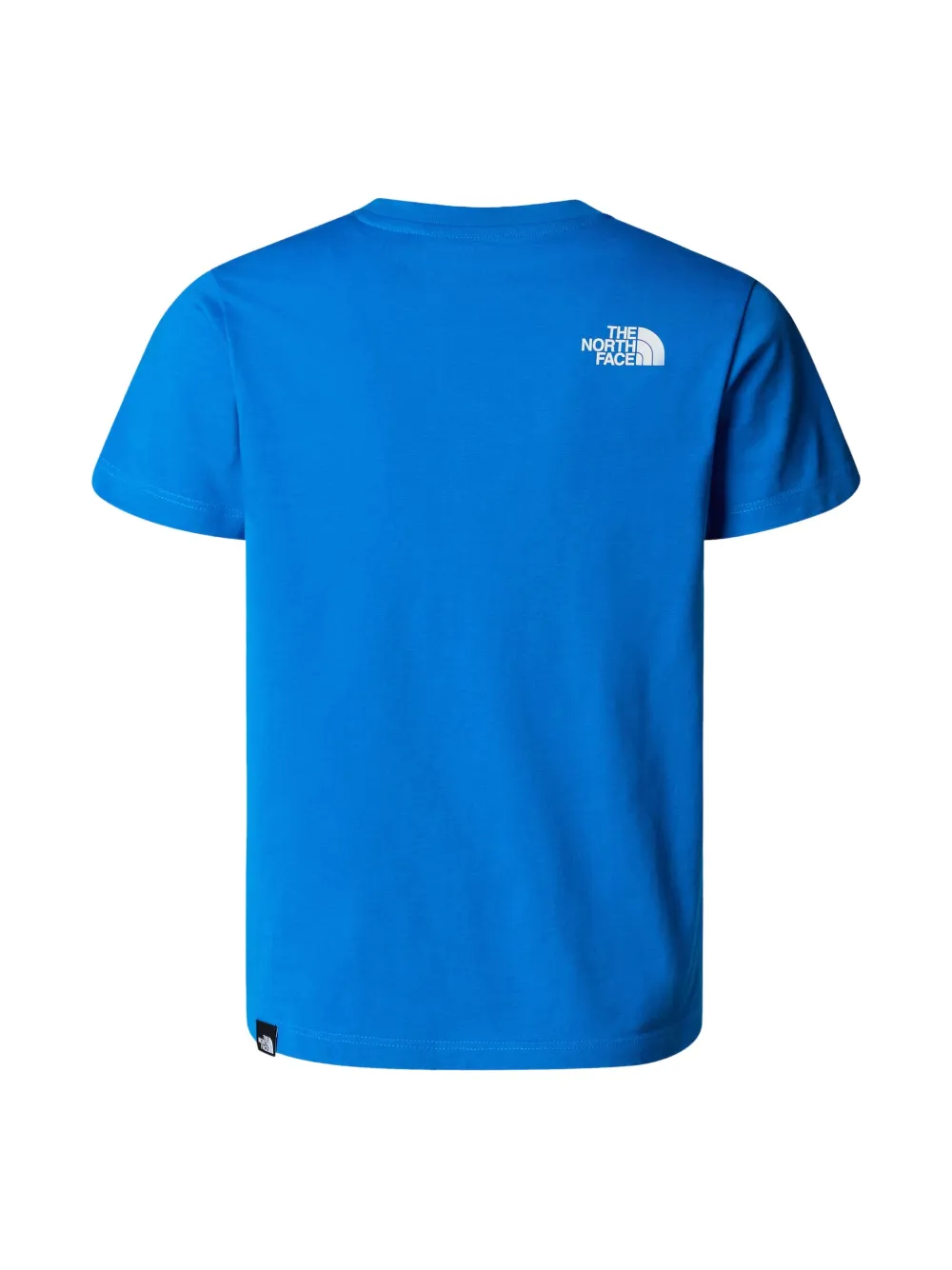 The North Face Kids T-shirt met logoprint Blauw