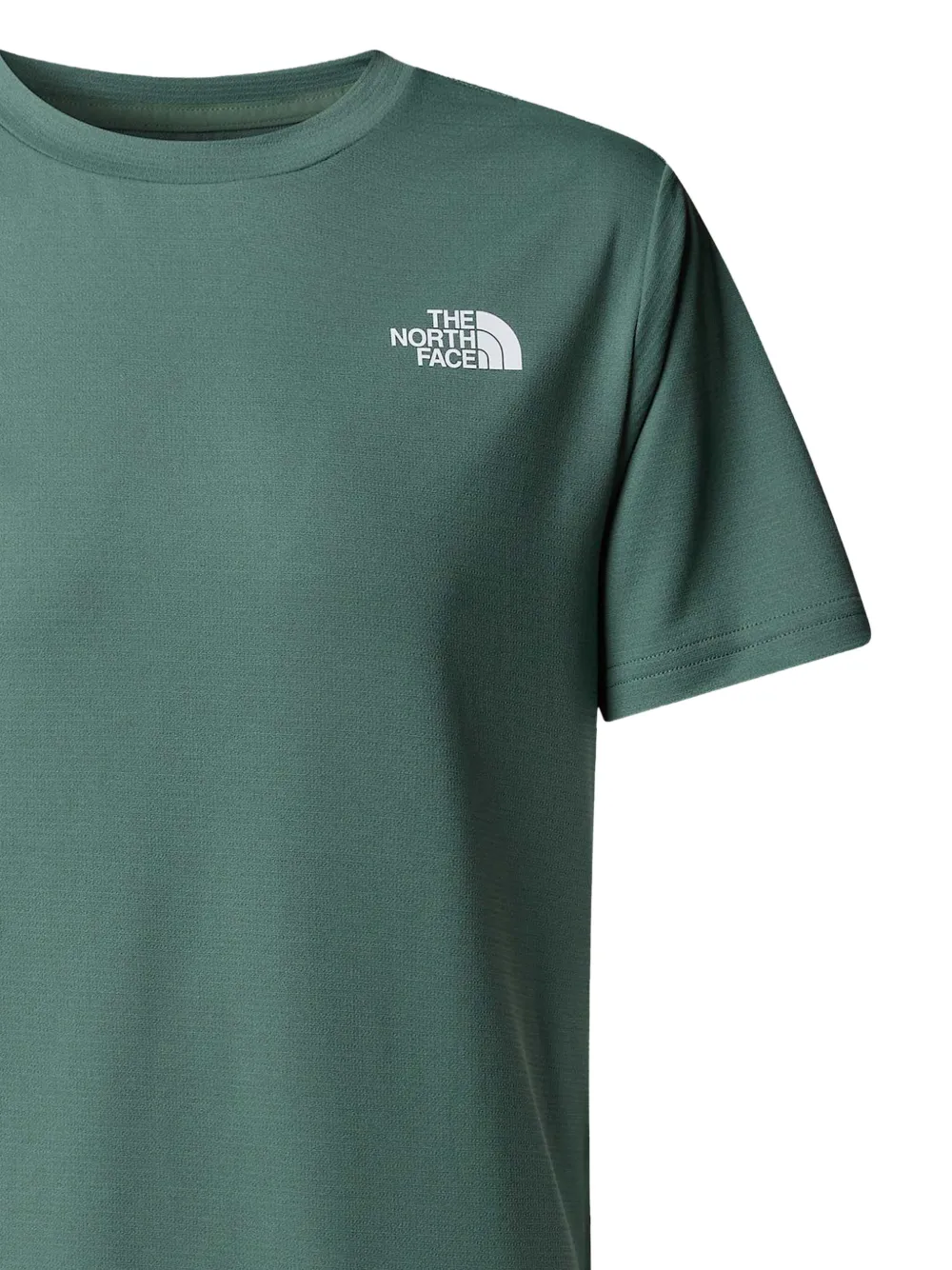 The North Face Kids T-shirt met logoprint Groen