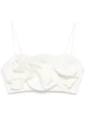 Acler Underwood crop top - White