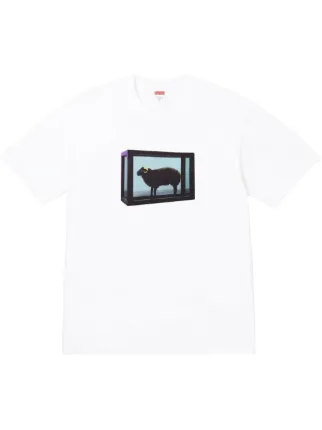 Supreme