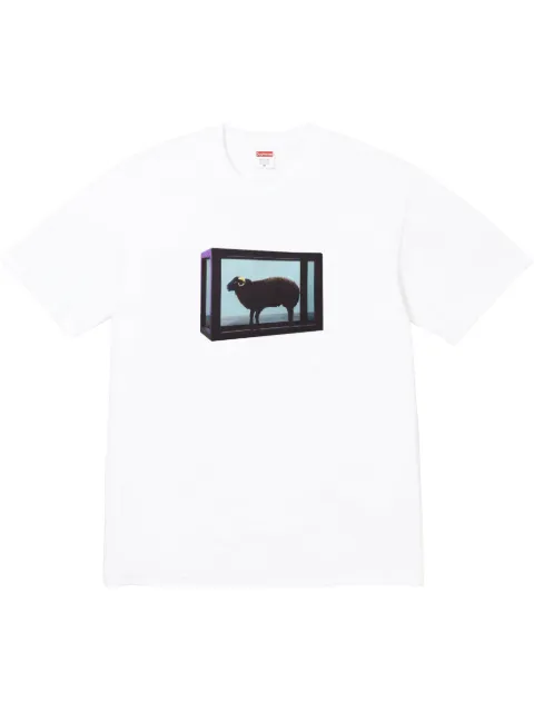 Supreme x Damien Hirst printed T-shirt