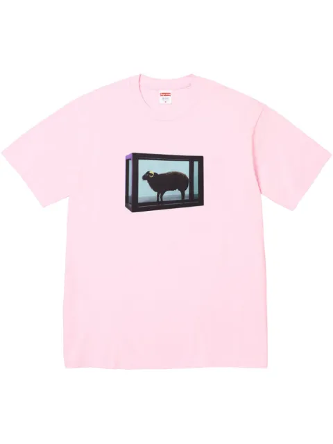 Supreme x Damien Hirst printed T-shirt