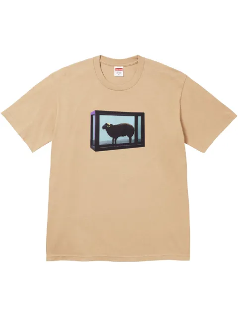Supreme x Damien Hirst printed T-shirt