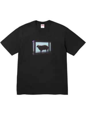 Supreme グラフィック Tシャツ | ブラック | FARFETCH JP