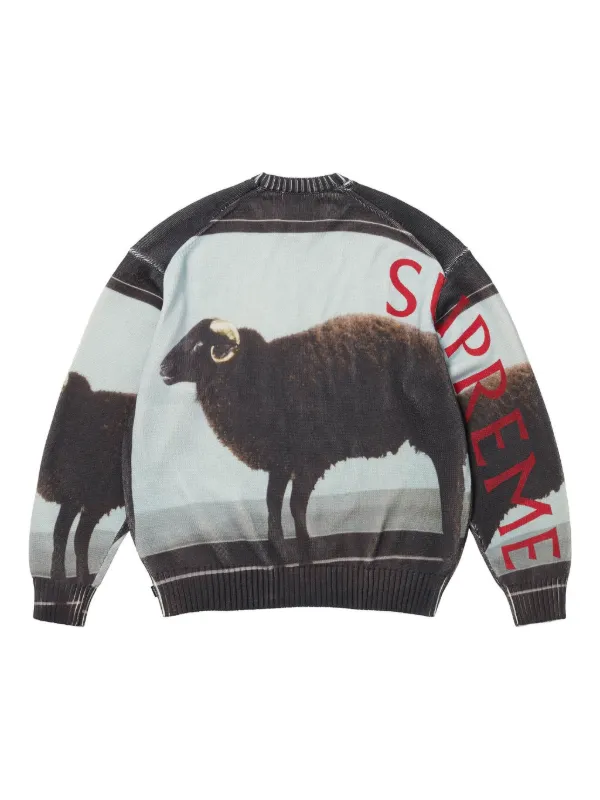 M SS25 ダミアンハースト セーター supreme サメ シャーク 白 緑 Supreme | Damien Hirst セーター - UG.SHAFT