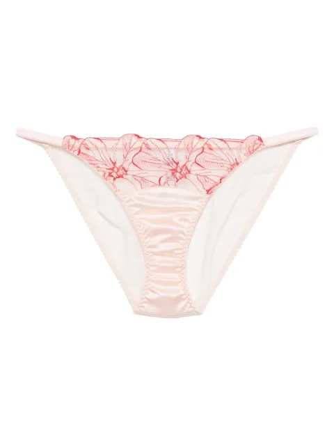 Fleur Of England rosa floral brief