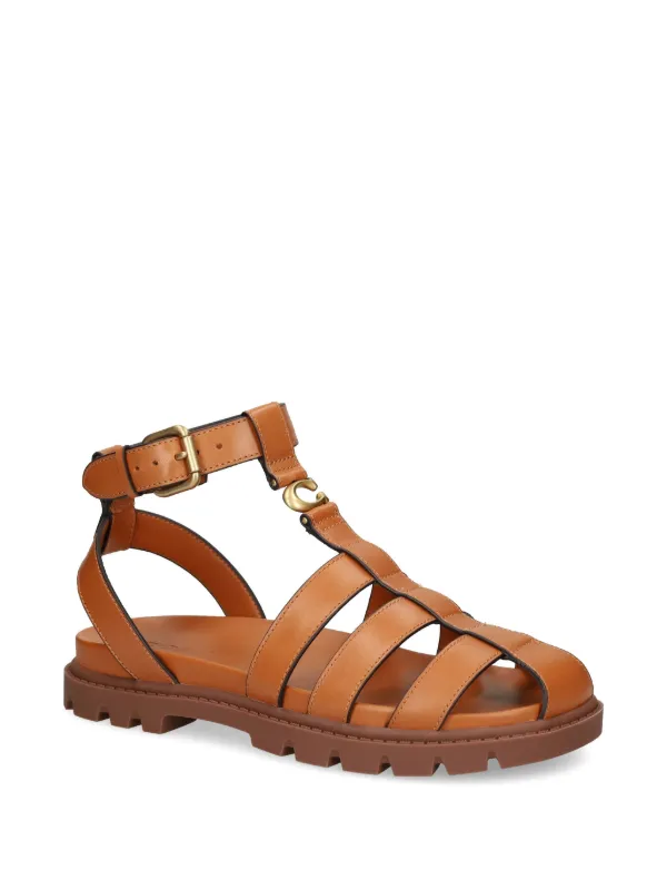 Flat Sandals Coach Ankle Strap Sandals Tany Women's Medium Brown