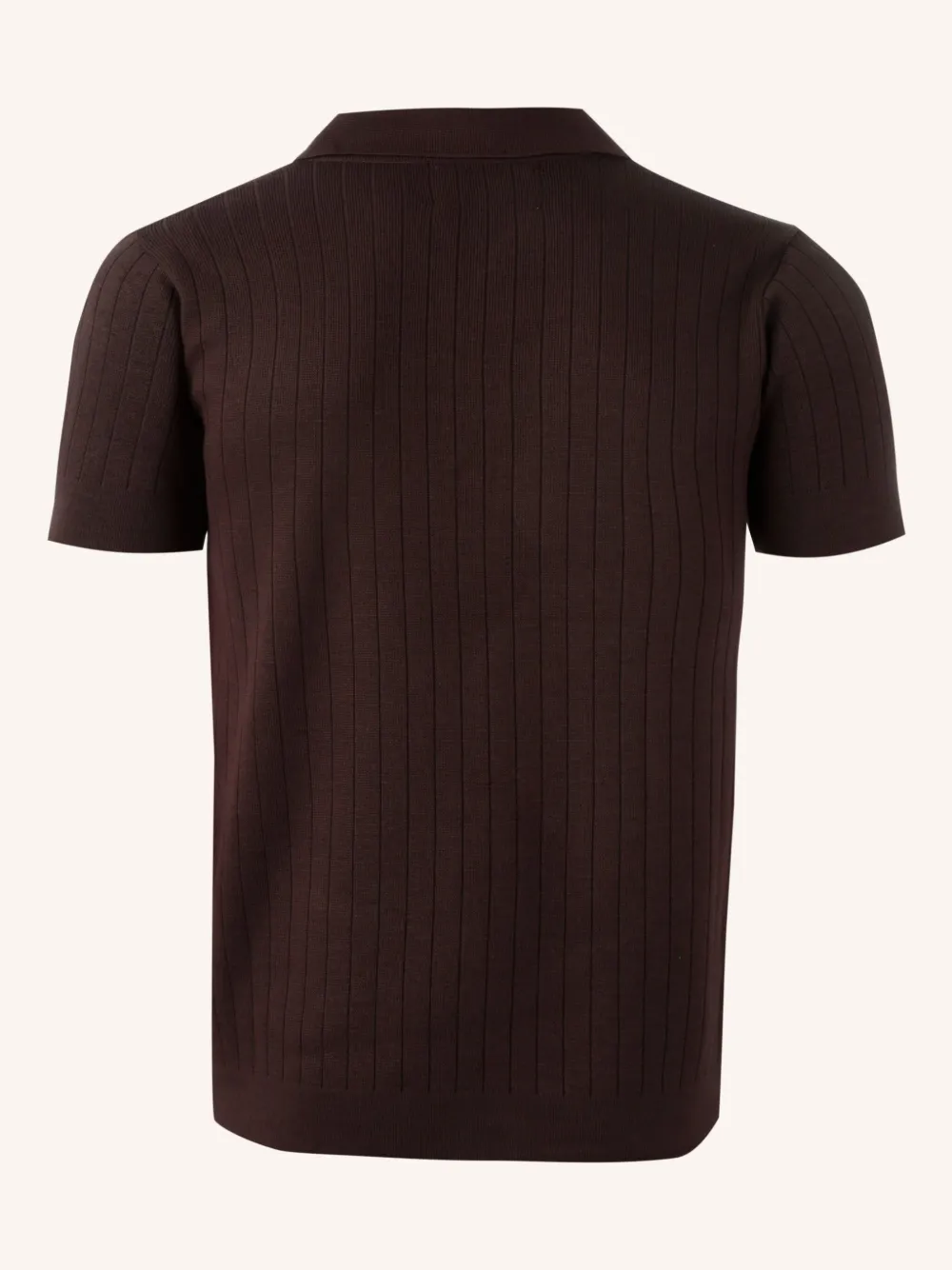 Misci Canelada Polo Shirt In Brown