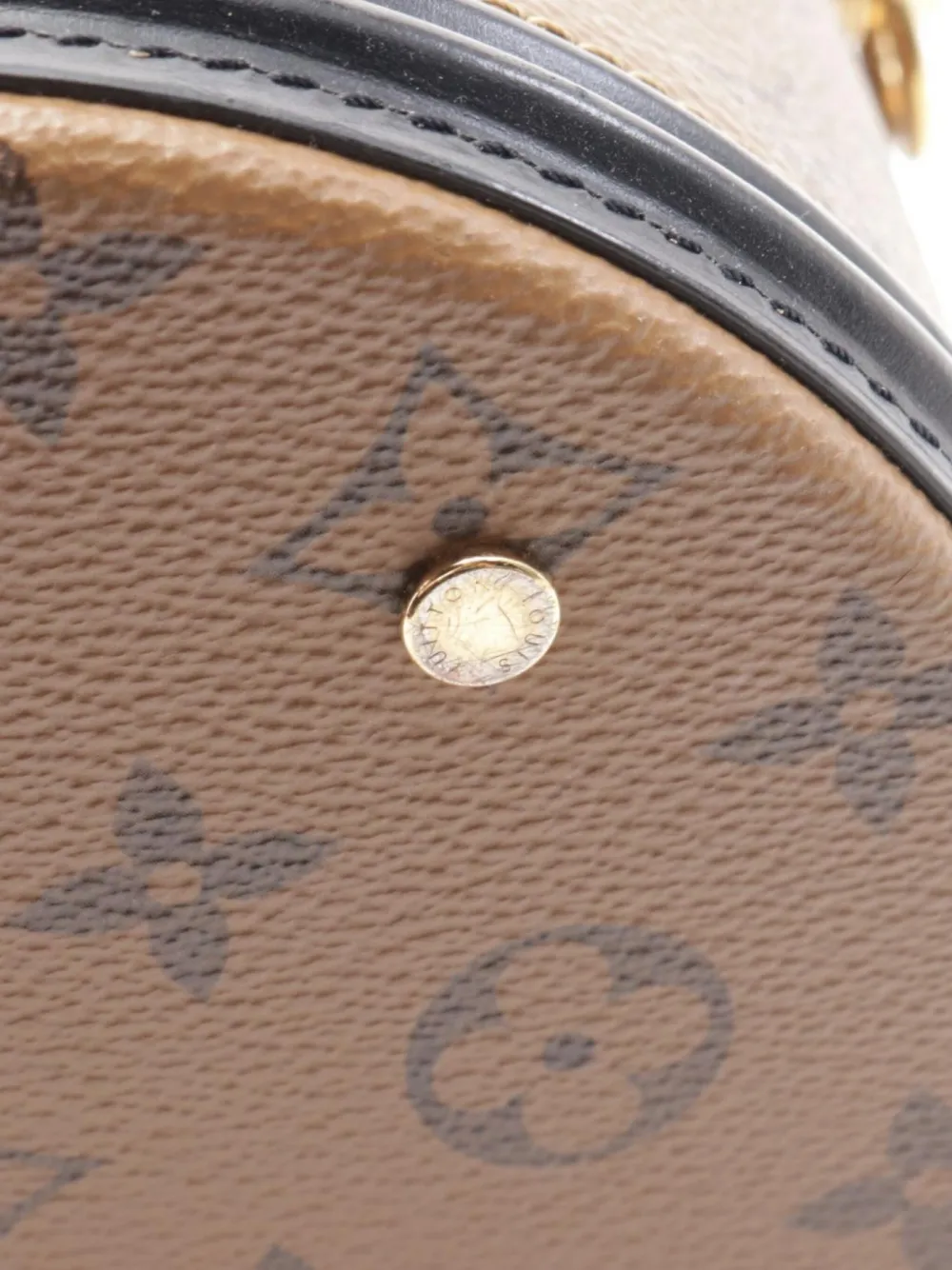 Pre-owned Louis Vuitton 2020 Cannes Monogram Reverse Handbag In Brown