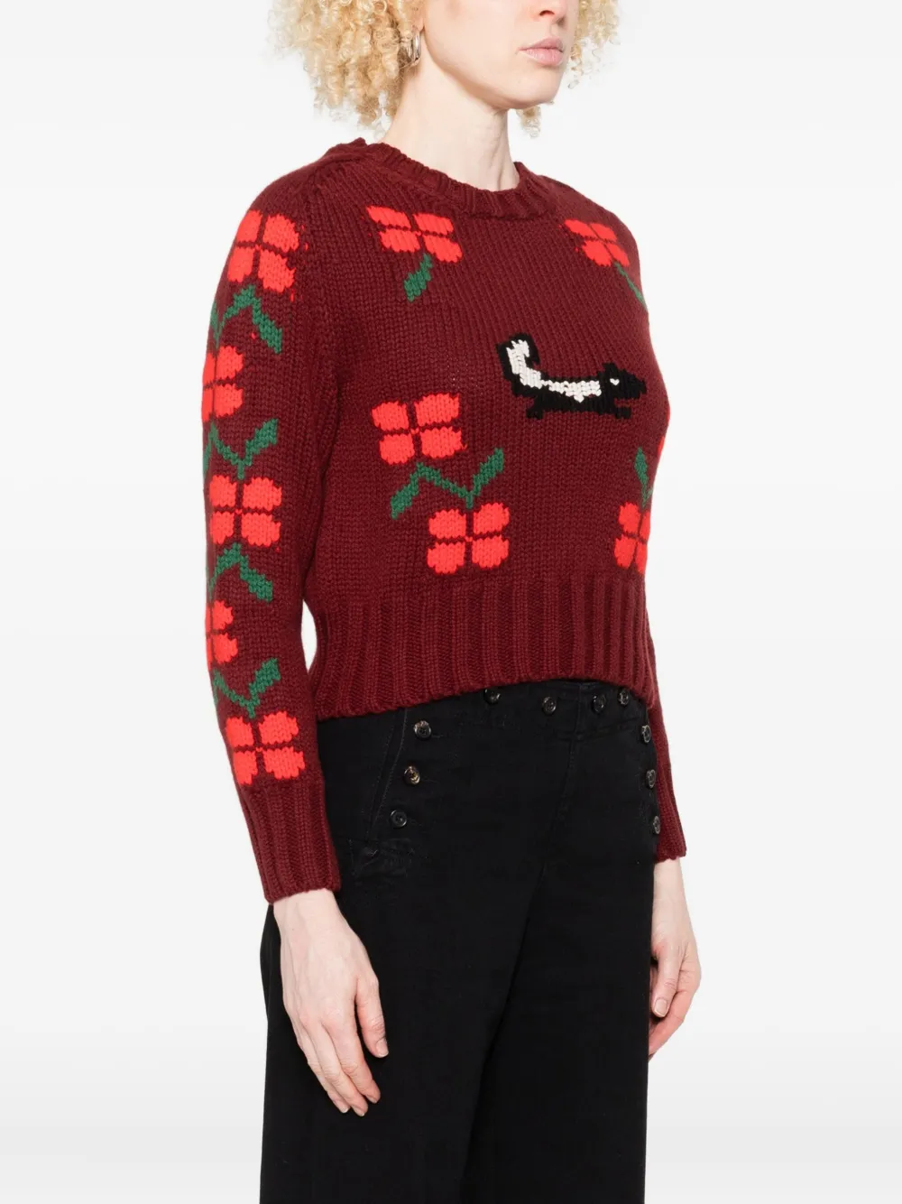 Bode Skunk-jacquard Crew-neck Jumper In Burgundy