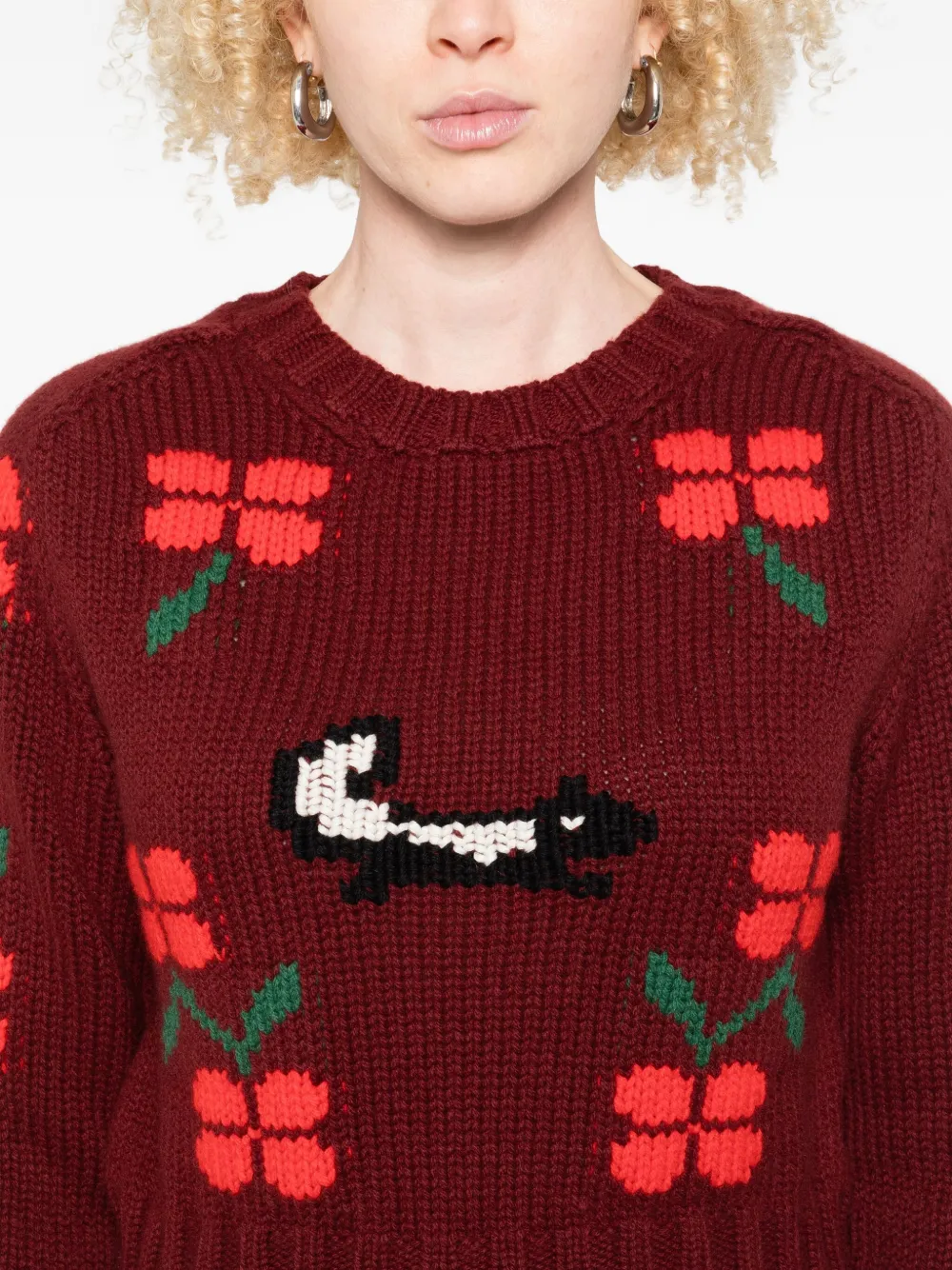 Bode Skunk-jacquard Crew-neck Jumper In Burgundy