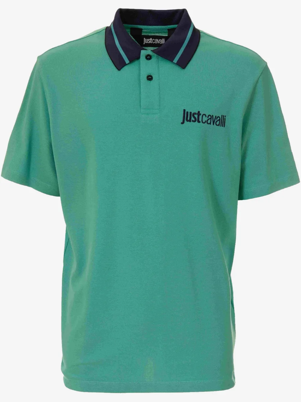 Just Cavalli logo-embroidered polo shirt | Green | Image 1