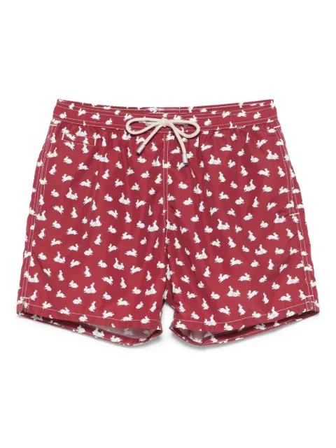 MC2 Saint Barth Lighting Micro Fantasy swim shorts