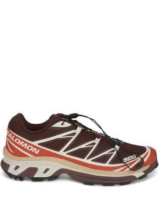 Salomon