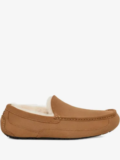 UGG Ascot slippers