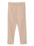 Harris Wharf London pleated trousers - Neutrals