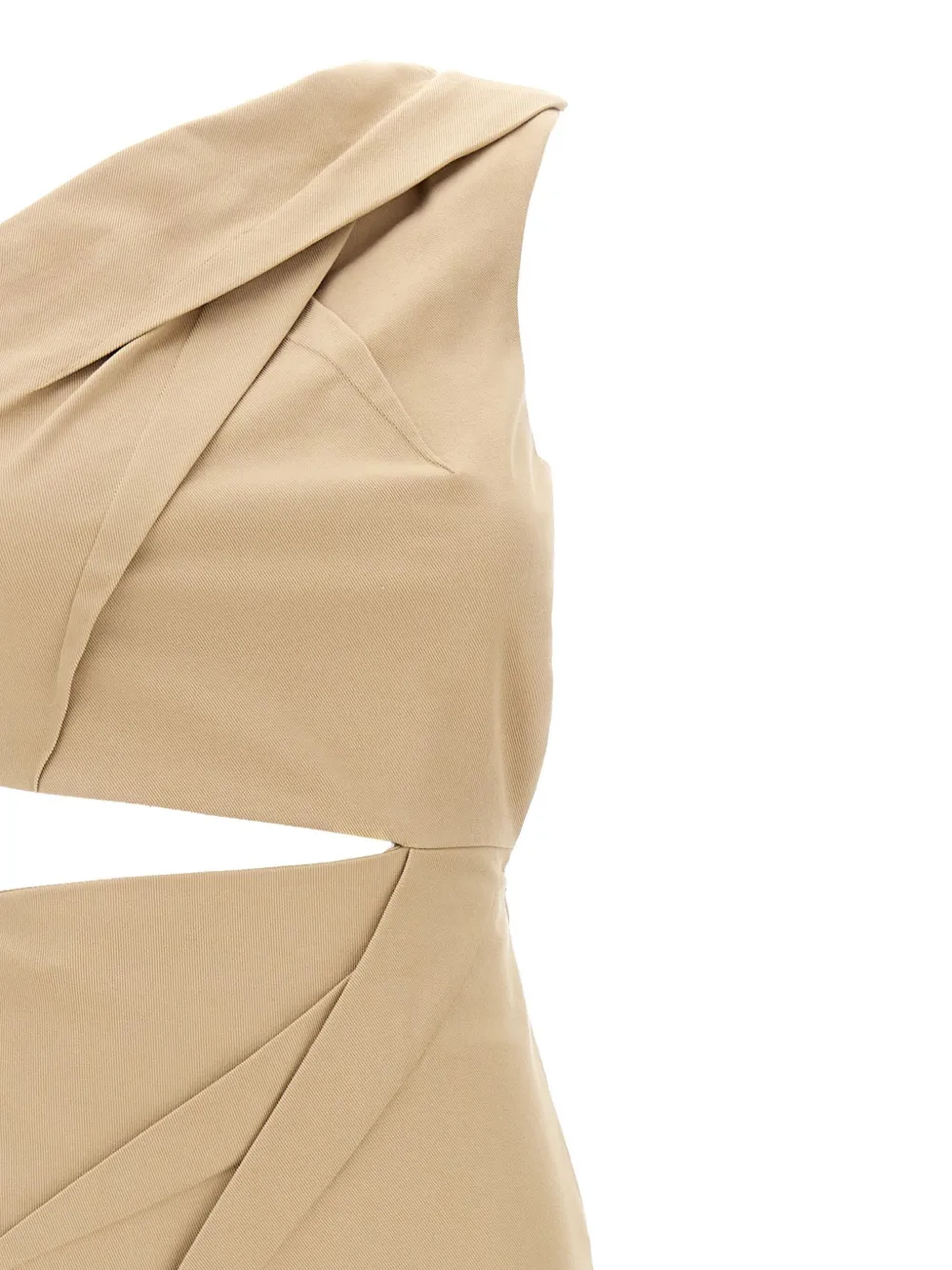 Shop Max Mara Nievo Dress In Neutrals