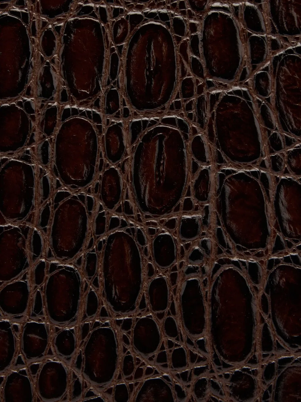Roberto Cavalli Heuptas met krokodillenprint Bruin