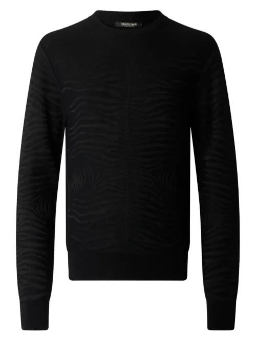 Pull à imprimé zébré - Roberto Cavalli - Modalova