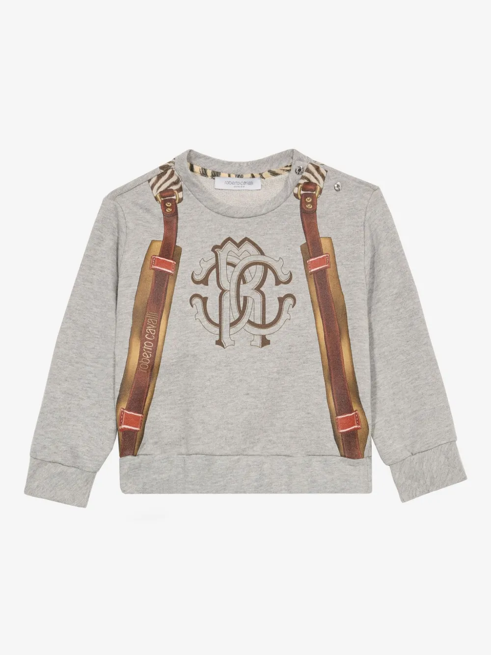 Roberto Cavalli Logo-print Sweatshirt In Grey
