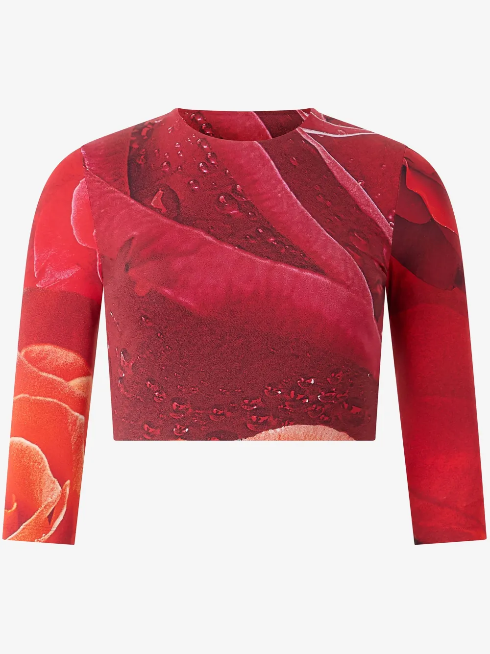 Shop Roberto Cavalli Rose-print T-shirt In Red