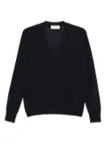 Lisa Yang button-front cashmere cardigan - Blue