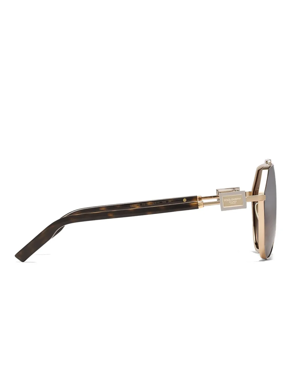 Dolce & Gabbana Eyewear DG2315 zonnebril Bruin