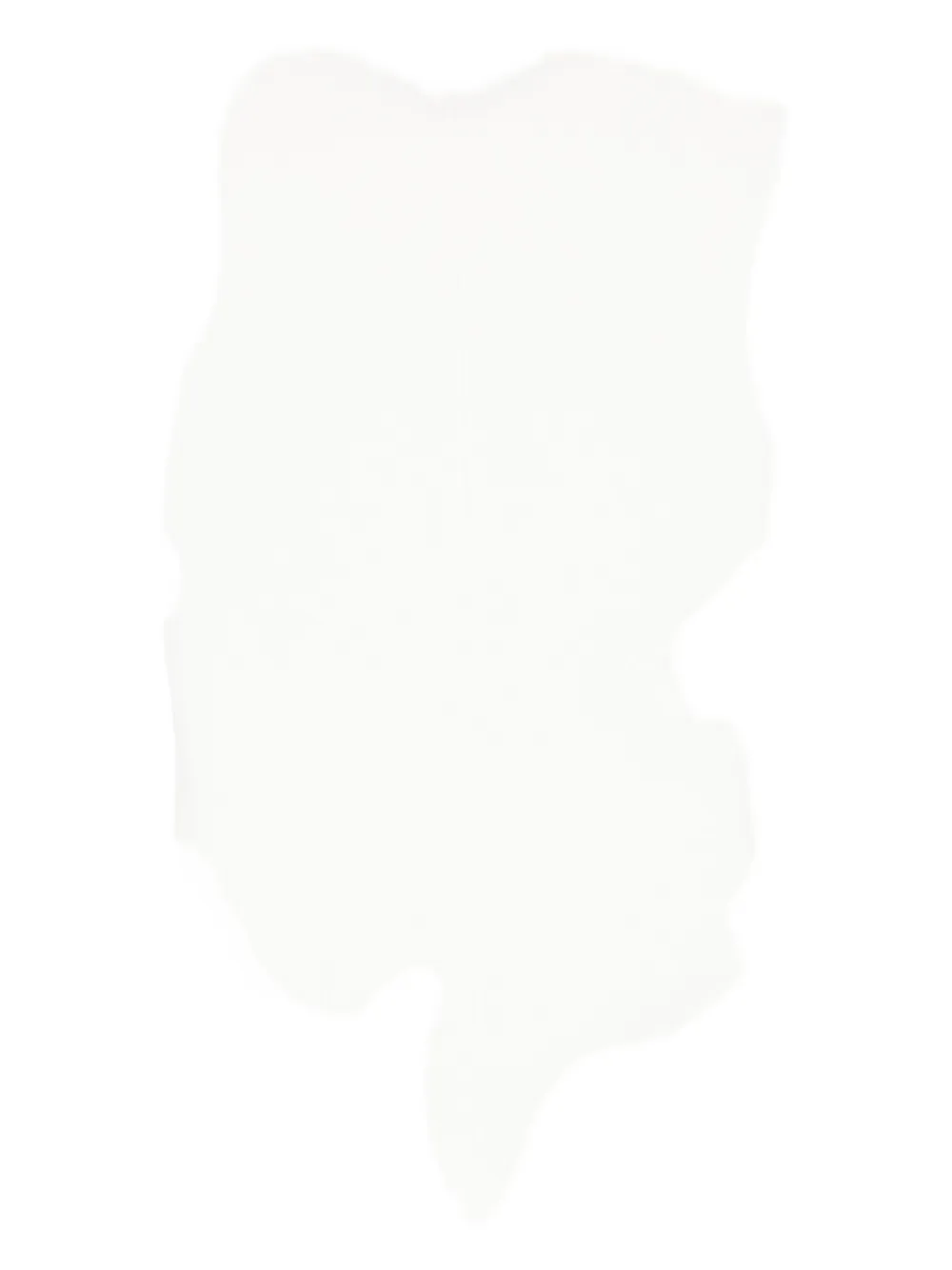 Wardrobe.nyc X Rhw High-neck Sleeveless Bodysuit In White