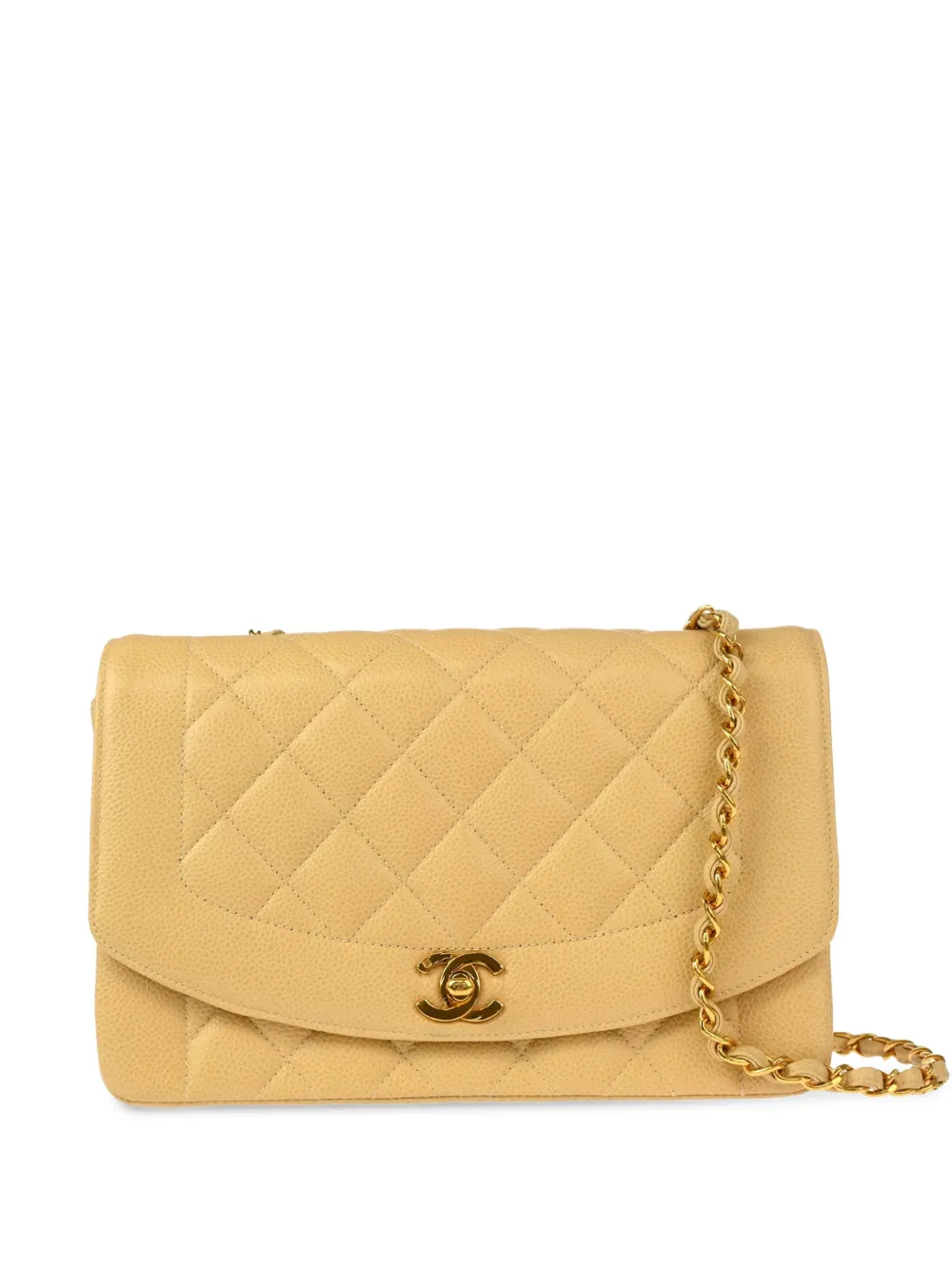 CHANEL Pre-Owned 1995 medium Diana shoulder bag | Neutrals | Image 1