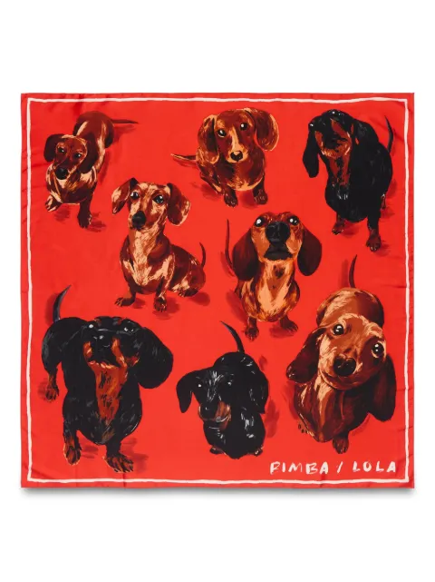 Bimba y Lola dog-print scarf